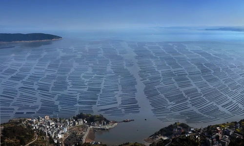 洞頭區 以科技創新澎湃海洋經濟高質量發展新動能，海水養殖技術研發走在前列