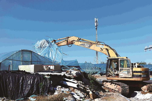 石獅市融媒體中心 科技賦能，推動海水養殖技術研發新突破