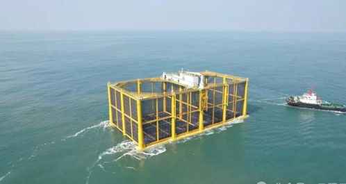 中國“海上糧倉”再添巨擘 6000噸三文魚年產值超6億，海洋養殖技術躋身世界前列